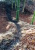 trail2