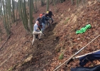 trail3