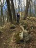 trail3