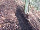 trail4