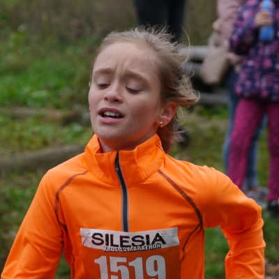 SILESIA kros 2017 - Vladimír Kurfürst_56